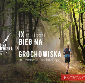 IX Bieg na Grochowiska im. Andrzeja Dziubińskiego